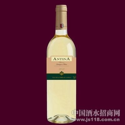 安蒂娜干白 山東環日進出口貿易的卓越之選與中國酒水招商新機遇